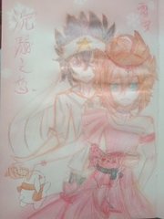 小红帽live最新版本2026